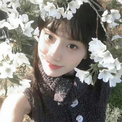 荷花淀、女人和枪